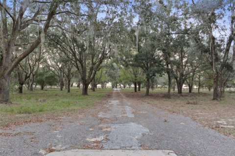 Villa ou maison à louer à Ocklawaha, Floride: 3 chambres, 180.88 m2 № 1854042 - photo 21
