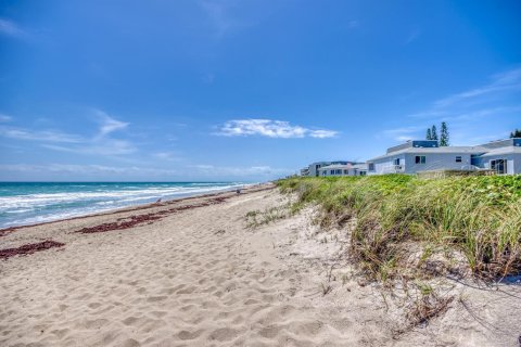 Copropriété à louer à Stuart, Floride: 2 chambres, 85.93 m2 № 2249509 - photo 29