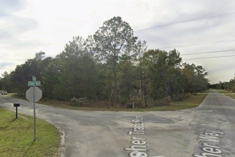Land in Ocklawaha, Florida № 2159501 - photo 3