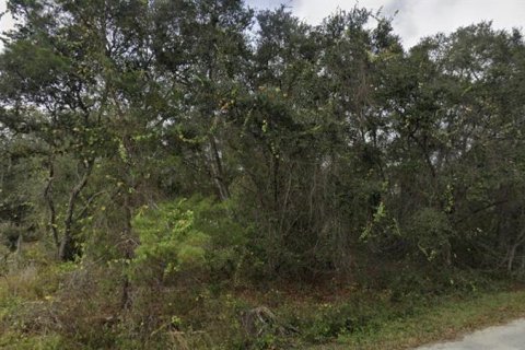 Land in Ocklawaha, Florida № 2159501 - photo 6