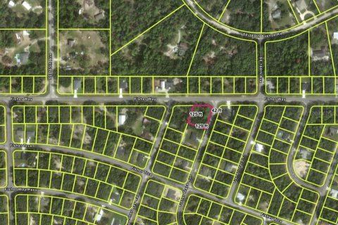 Land in Ocklawaha, Florida № 2159501 - photo 2
