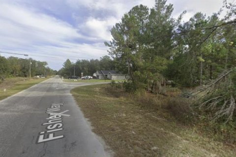 Land in Ocklawaha, Florida № 2159501 - photo 5