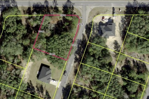 Land in Ocklawaha, Florida № 2159501