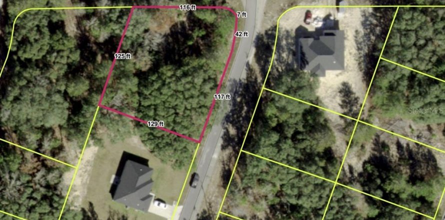 Land in Ocklawaha, Florida № 2159501