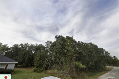 Land in Ocklawaha, Florida № 2159501 - photo 7