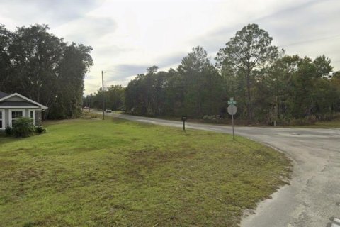 Land in Ocklawaha, Florida № 2159501 - photo 4