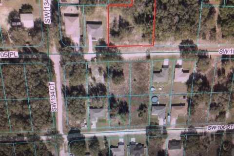 Land in Dunnellon, Florida № 2161958 - photo 2