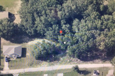 Land in Dunnellon, Florida № 2161958 - photo 5