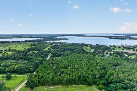 Terrain à vendre à Mount Dora, Floride № 2306443 - photo 6
