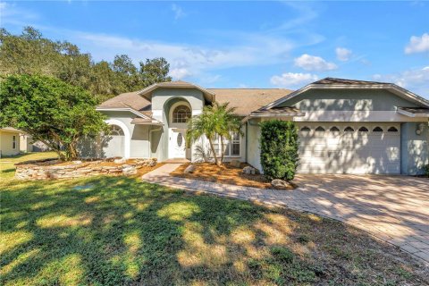 Villa ou maison à Lutz, Floride 5 chambres, 255.85 m2 № 2431832