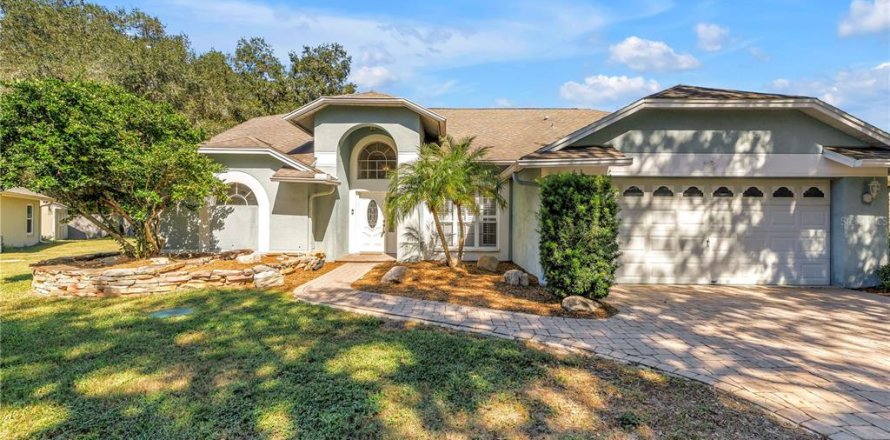 Villa ou maison à Lutz, Floride 5 chambres, 255.85 m2 № 2431832