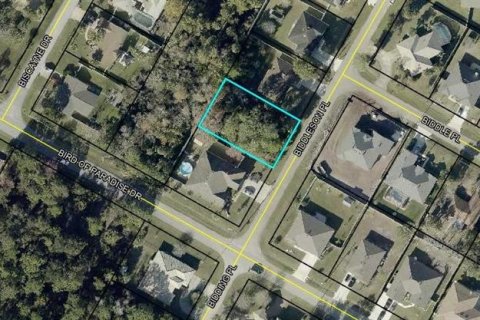 Land in Palm Coast, Florida № 2383471