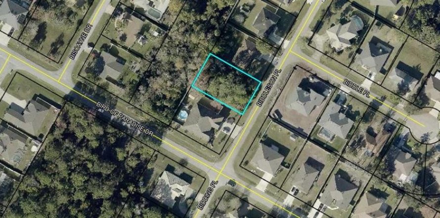 Land in Palm Coast, Florida № 2383471