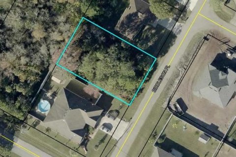 Land in Palm Coast, Florida № 2383471 - photo 2