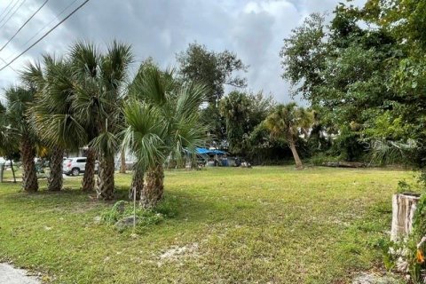 Land in Ormond Beach, Florida № 2400344 - photo 3