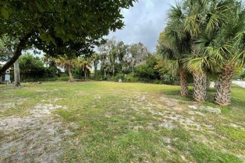 Land in Ormond Beach, Florida № 2400344 - photo 2