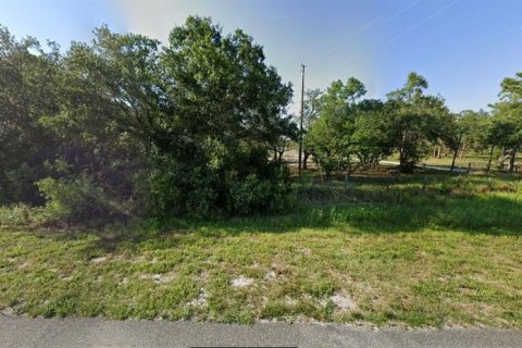 Land in Lake Wales, Florida № 2118539 - photo 5