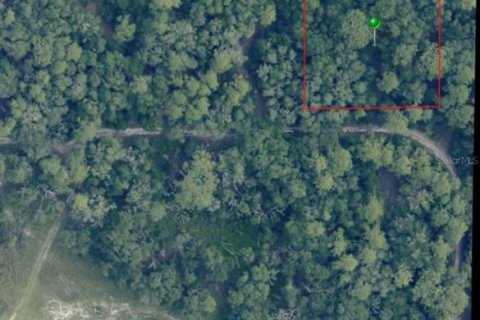 Land in Dunnellon, Florida № 2235433