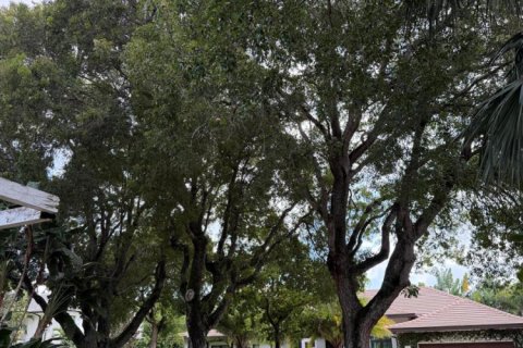 Villa ou maison à vendre à West Palm Beach, Floride: 2 chambres, 111.67 m2 № 2418005 - photo 3