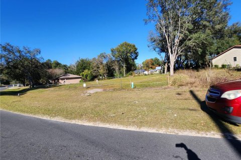 Land in Ocala, Florida № 2165264