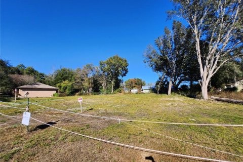 Land in Ocala, Florida № 2165264 - photo 10