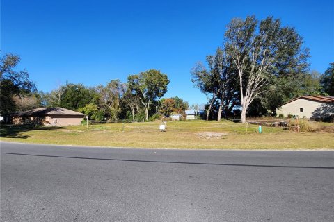 Land in Ocala, Florida № 2165264 - photo 3