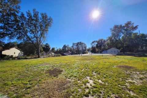 Land in Ocala, Florida № 2165264 - photo 18