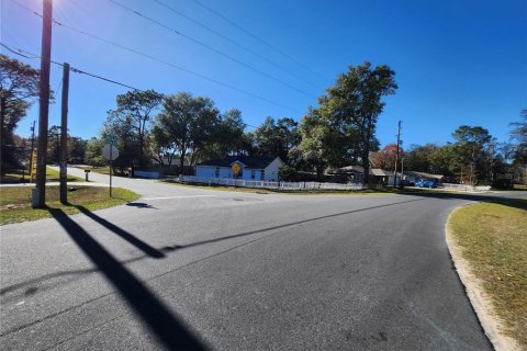 Land in Ocala, Florida № 2165264 - photo 22