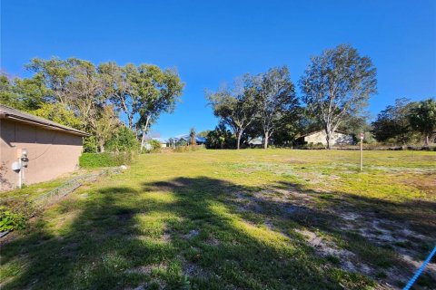 Land in Ocala, Florida № 2165264 - photo 8