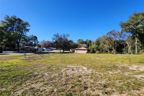 Land in Ocala, Florida № 2165264 - photo 12