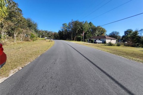 Land in Ocala, Florida № 2165264 - photo 23