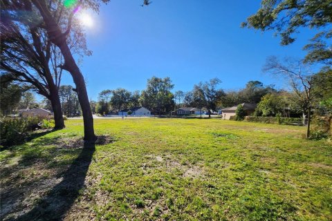 Land in Ocala, Florida № 2165264 - photo 13