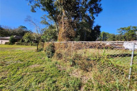 Land in Ocala, Florida № 2165264 - photo 15