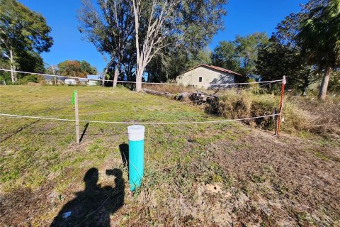 Land in Ocala, Florida № 2165264 - photo 11