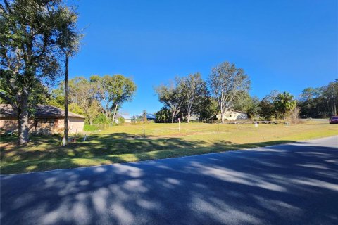 Land in Ocala, Florida № 2165264 - photo 6