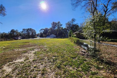 Land in Ocala, Florida № 2165264 - photo 17