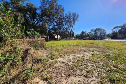 Land in Ocala, Florida № 2165264 - photo 16