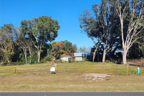 Land in Ocala, Florida № 2165264 - photo 5