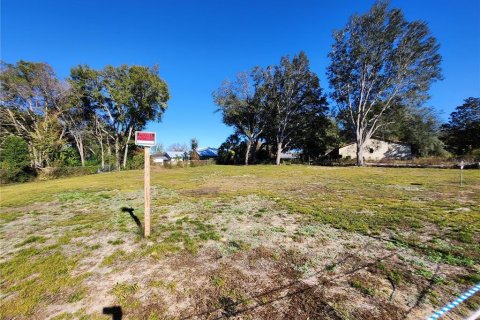 Land in Ocala, Florida № 2165264 - photo 9