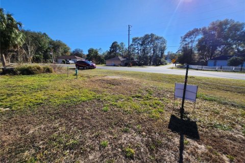 Land in Ocala, Florida № 2165264 - photo 20