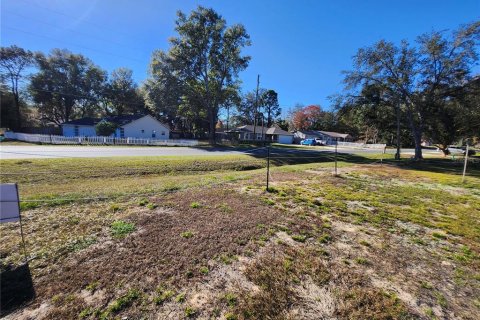 Land in Ocala, Florida № 2165264 - photo 19