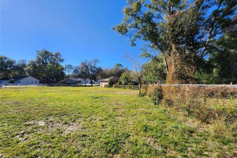 Land in Ocala, Florida № 2165264 - photo 14