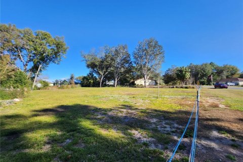 Land in Ocala, Florida № 2165264 - photo 7