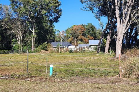 Land in Ocala, Florida № 2165264 - photo 2
