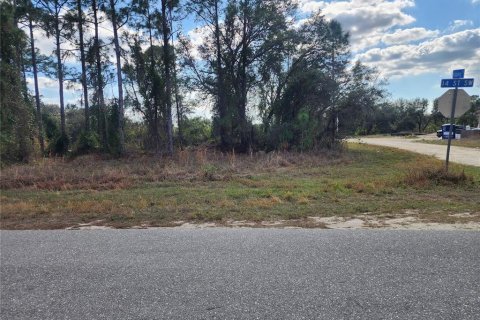 Land in Lehigh Acres, Florida № 1512440 - photo 3