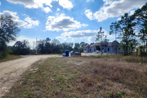 Land in Lehigh Acres, Florida № 1512440 - photo 8