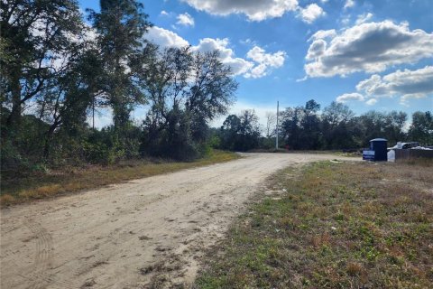 Land in Lehigh Acres, Florida № 1512440 - photo 9