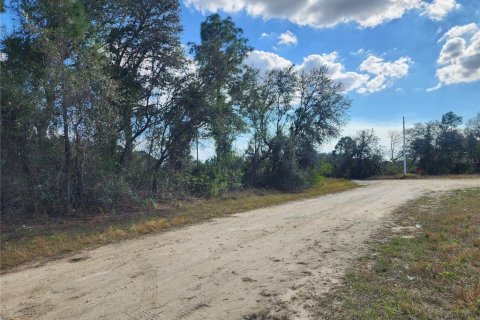 Land in Lehigh Acres, Florida № 1512440 - photo 6