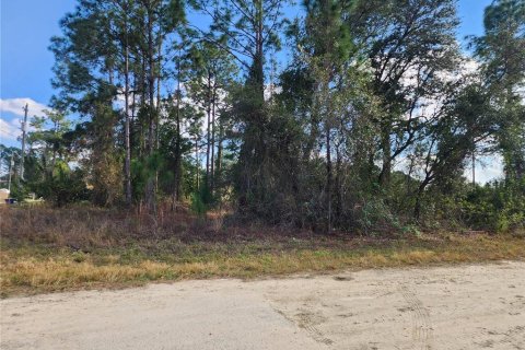Land in Lehigh Acres, Florida № 1512440 - photo 7