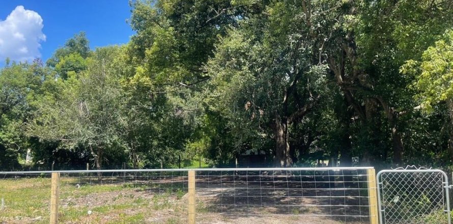 Land in Orlando, Florida № 1866520